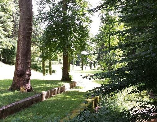 TRAIL LYON VERT