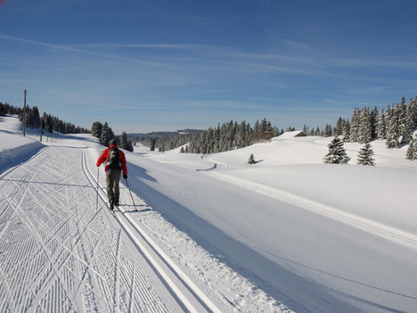 376807_Ski-de-fond-Amburnex-II