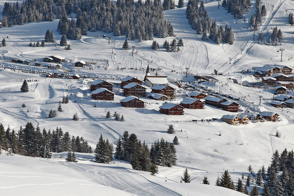 les saisies