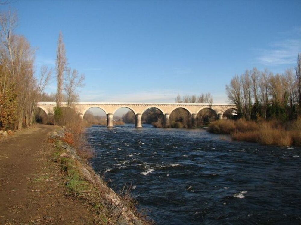 bonson loire
