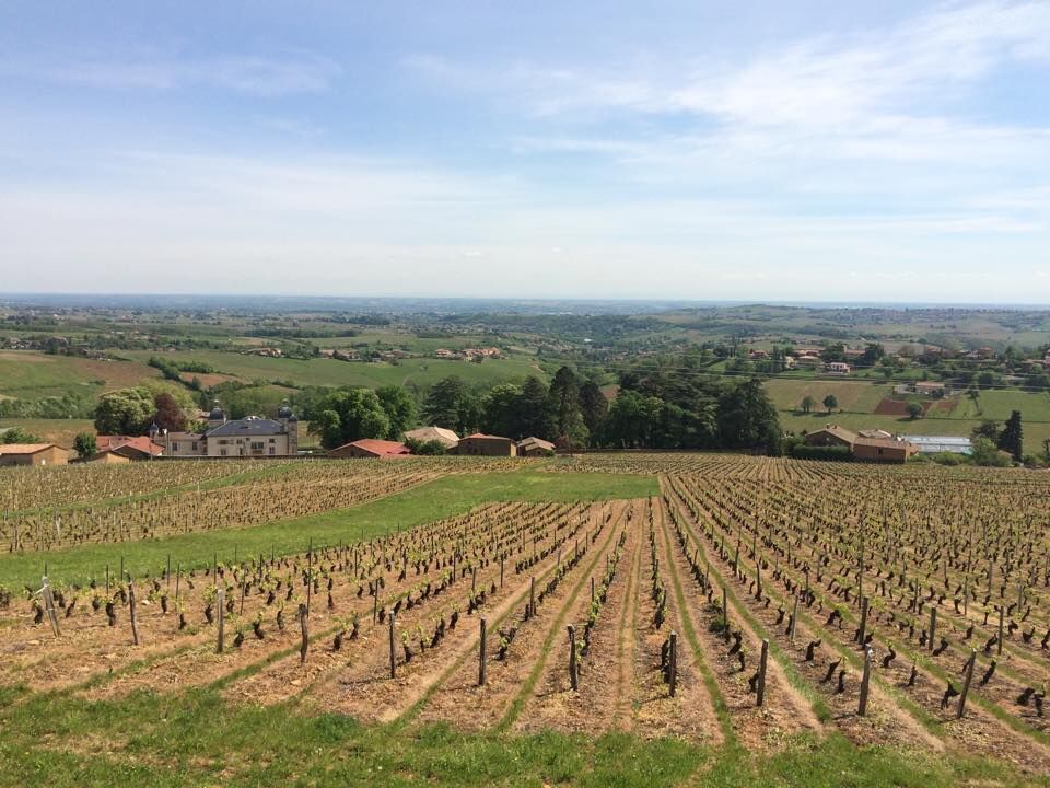 BEAUJOLAIS