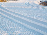 oqelfsxnata8sun7w9yz