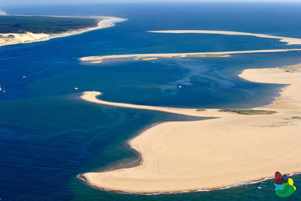 Banc d'Arguin, Bassin Arcachon, 33 Gironde, rg. Aquitaine © Danile SCHNEIDER