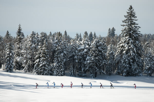 Group NordicFocus