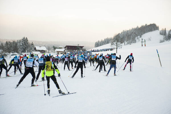 Group NordicFocus