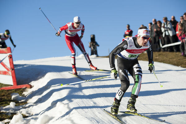 Pittin NordicFocus