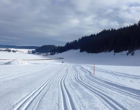 siberienne