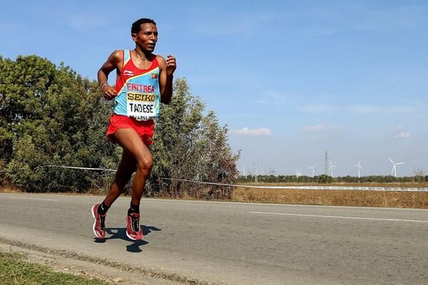 tadese