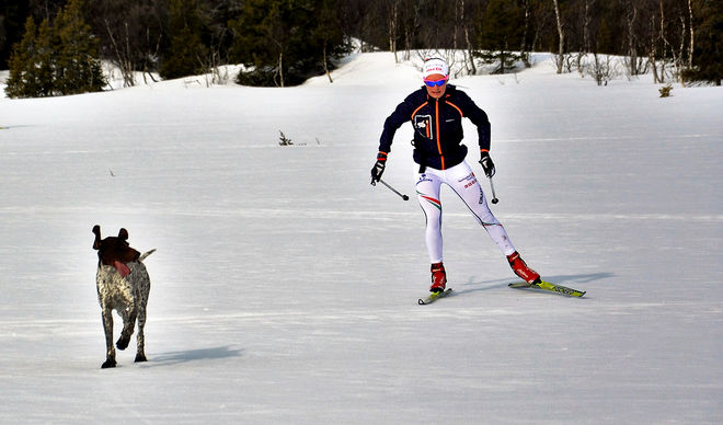 SOFIA HENRIKSSON har med sig vorsterhunden Cooper på träningslägret i Saxnäs. Foto: HÅKAN SVENSSON