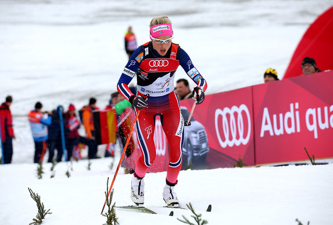 THERESE JOHAUGS mål vid skid-VM i Lahtis är att vinna 10 km klassisk stil, en distans hon inte har VM-guld på sedan tidigare. Foto/rights: MARCELA HAVLOVA/sweski.com
