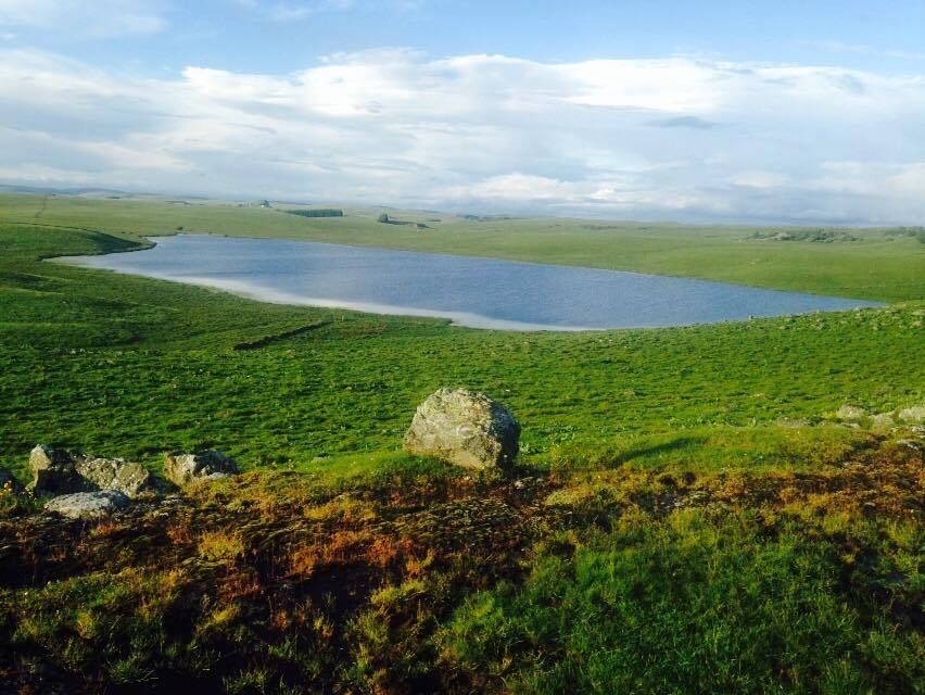 Trail en Aubrac