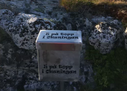 5påtoppingress