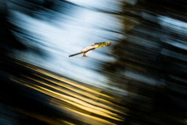 22.02.2016, Kuopio, Finland (FIN): Kento Sakuyama (JPN), Fischer- FIS world cup ski jumping, individual HS127, qualification, Kuopio (FIN). www.nordicfocus.com. © Laiho/NordicFocus. Every downloaded picture is fee-liable. NordicFocus