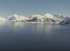 arctic
