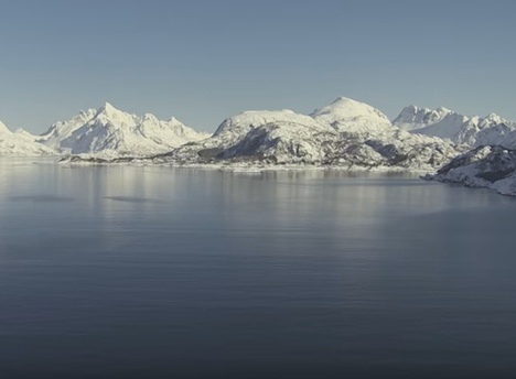 arctic