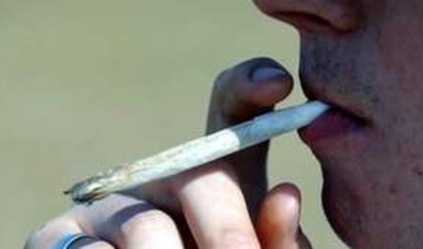 Økende trend av cannabisbruk blant voksne i Canada 5 år etter legaliseringen