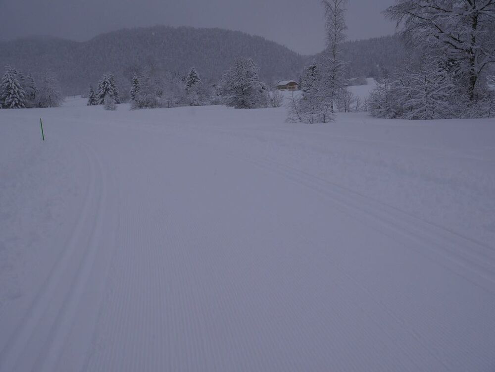 SAVOIE GRAND REVARD