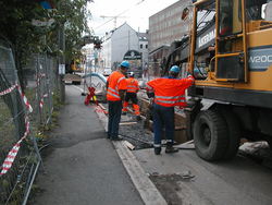 Wermskog - Fra 175 til 355 millimeter