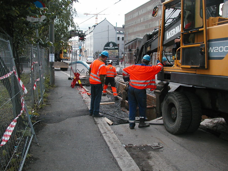 Wermskog - Fra 175 til 355 millimeter Wermskog - Fra 175 til 355 millimeter