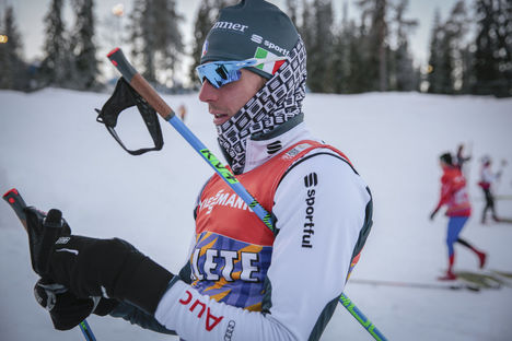Rastelli NordicFocus Rastelli