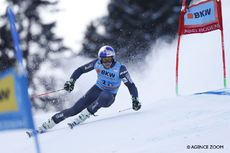 PINTURAULT ADELBODEN