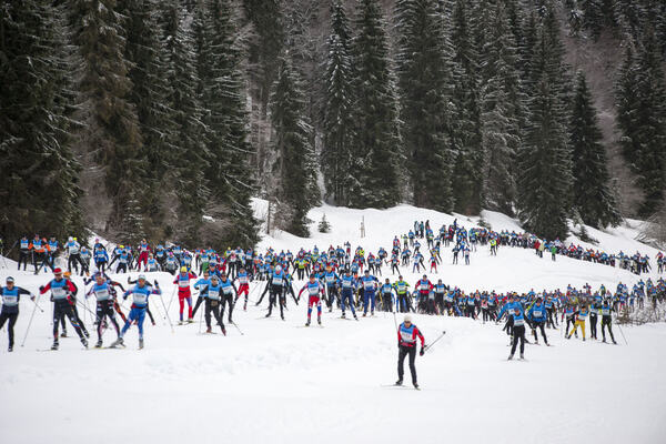 Group NordicFocus