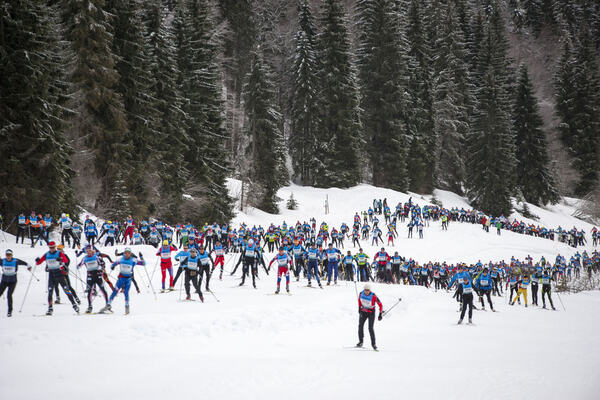 Group NordicFocus