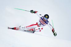 HIRSCHER[1]