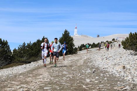 ergysport ventoux
