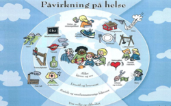 Pavirkning helse