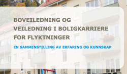 Boveiledning2