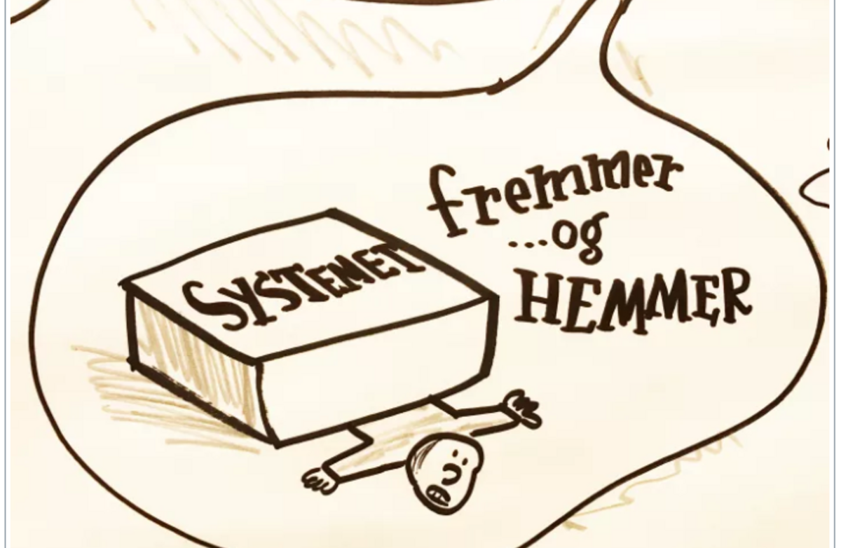 Sosialt entreprenørskap - hva hemmer og fremmer?