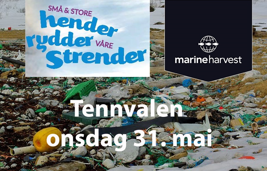 Strandrydding i Tennvalen