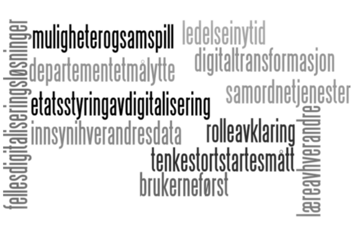 Erfaringssamling i strategisk IKT-ledelse. Illustrasjonstenging fra Difi.