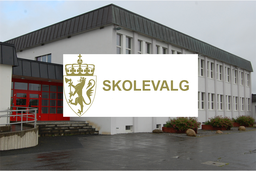 Skolevalg på Herøy skole 2017