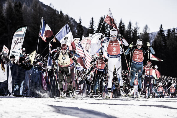 NordicFocus