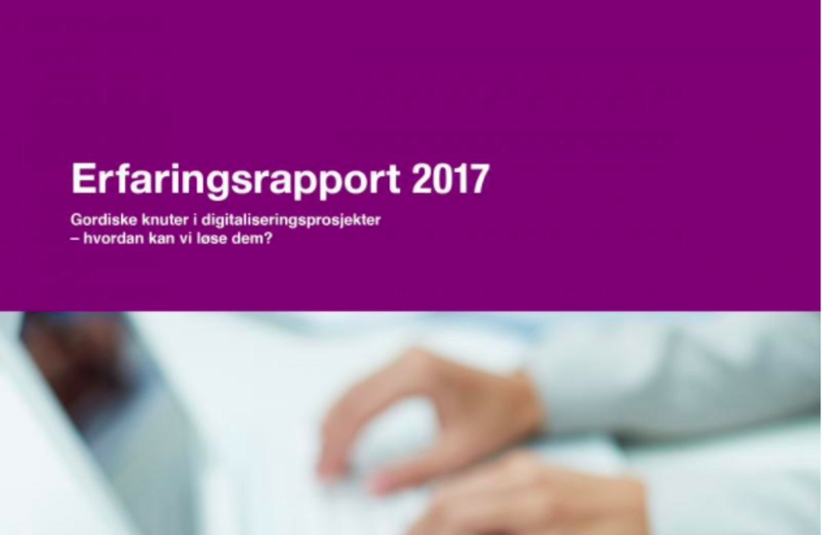 Digitaliseringsrådet erfaringsrapport.