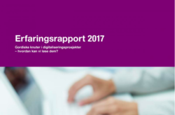Digitaliseringsrådet erfaringsrapport.
