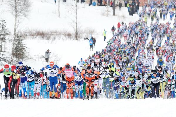 NordicFocus