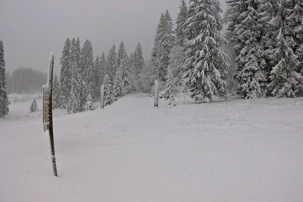 SnapMyRide By Trinum