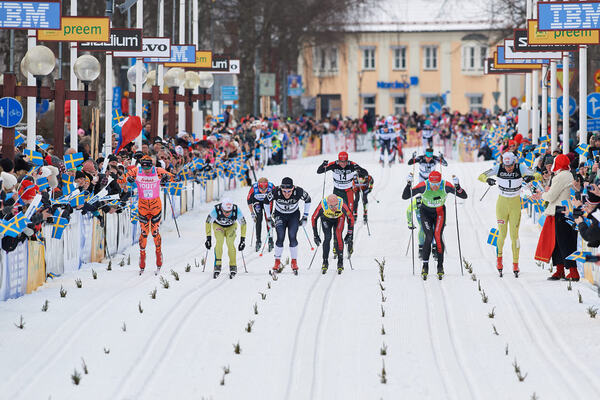 NordicFocus