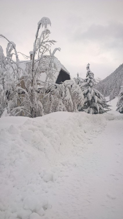 Retour d\'Est Queyras Ritolas ©V.labonde.JPG