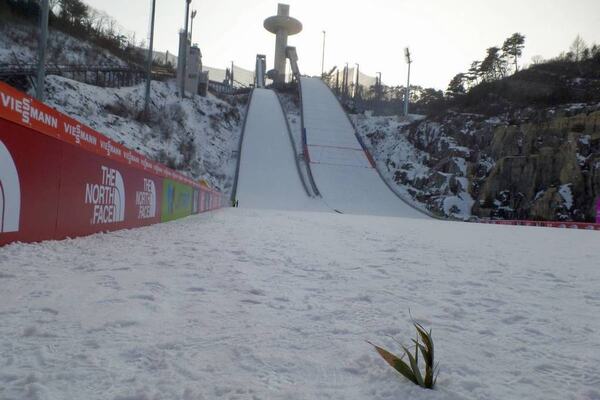 NordicFocus
