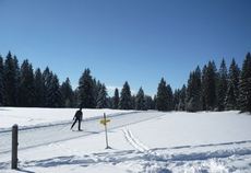 Val-de-Morteau