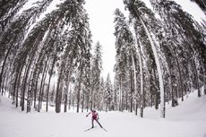 NordicFocus 16.01.2018, Antholz, Italy (ITA):Katharina Innerhofer (AUT) - IBU world cup biathlon, training, Antholz (ITA). www.nordicfocus.com. © Manzoni/NordicFocus. Every downloaded picture is fee-liable.