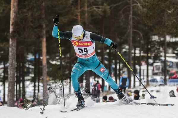 NordicFocus