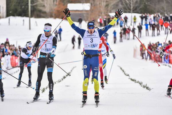 NordicFocus