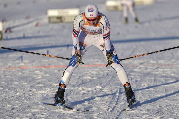 NordicFocus