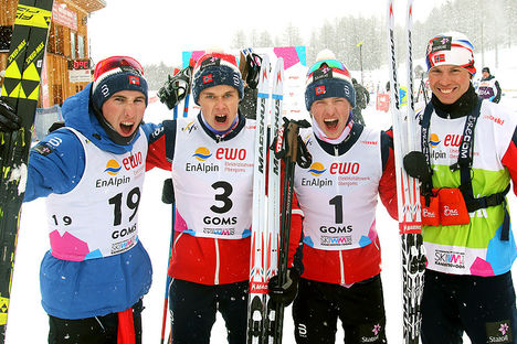 Norway Goms