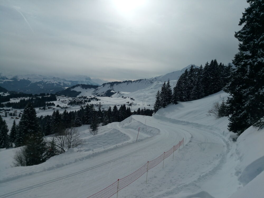 IMG_20180205_120627 (1)